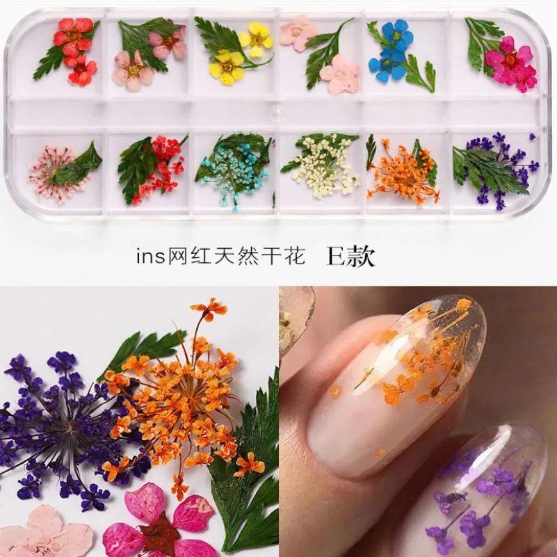 Nail Dried Flowers 12 Color Star Sun Flower Small Daisy Dry Flowers Decoration